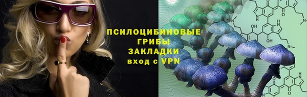 не бодяженный Великий Новгород