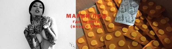 стаф Магас