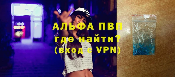 стаф Магас