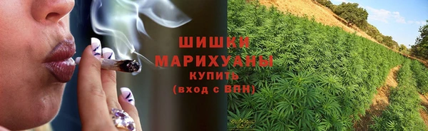 не бодяженный Великий Новгород
