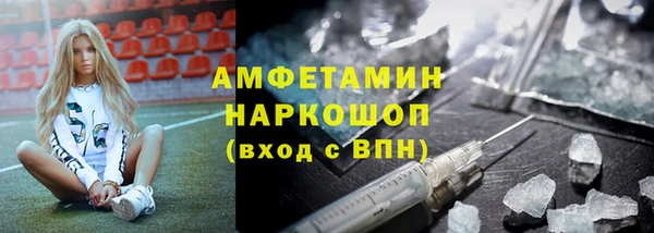 стаф Магас