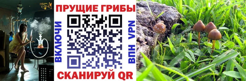 Галлюциногенные грибы GOLDEN TEACHER  Черемхово 