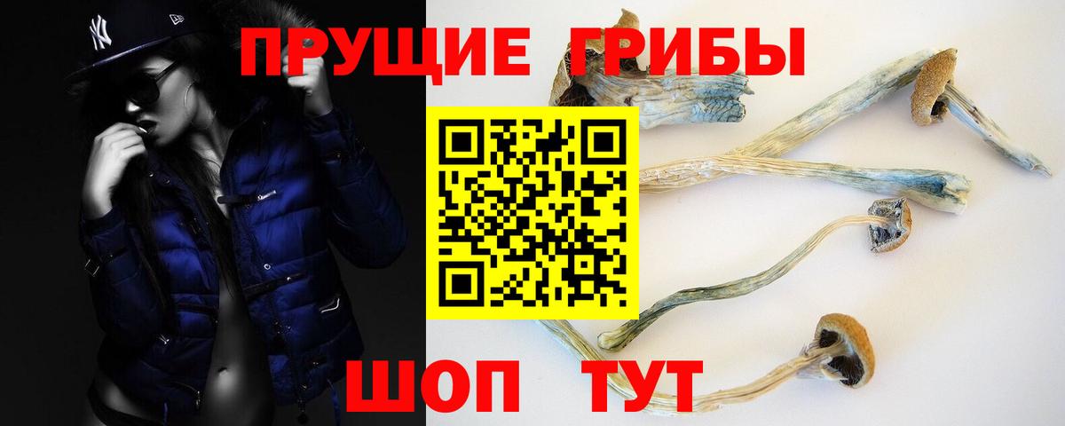 Псилоцибиновые грибы Psilocybine cubensis  Вход с VPN  Черемхово 